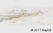 Shaded Relief Panoramic Map of Solothurn, lighten