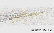 Shaded Relief Panoramic Map of Solothurn, lighten, semi-desaturated