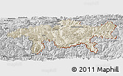 Shaded Relief Panoramic Map of Graubünden, desaturated