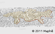 Shaded Relief Panoramic Map of Graubünden, lighten, desaturated