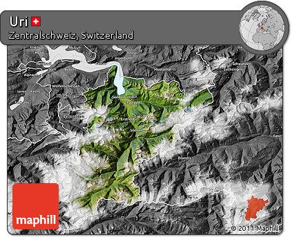Satellite Map of Uri, desaturated