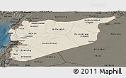 Shaded Relief Panoramic Map of Syria, darken