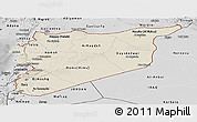 Shaded Relief Panoramic Map of Syria, desaturated