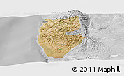Satellite Panoramic Map of Tartus, lighten, desaturated