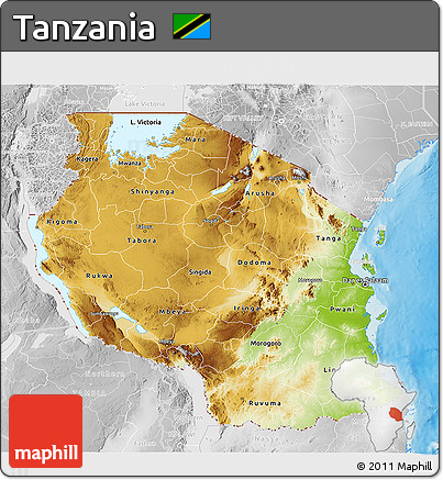 Physical 3D Map of Tanzania, lighten, desaturated, land only