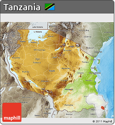 Physical 3D Map of Tanzania, semi-desaturated, land only
