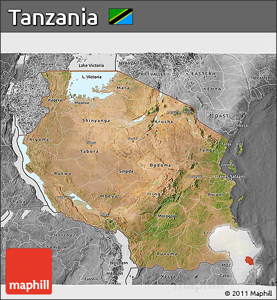 Satellite 3D Map of Tanzania, desaturated