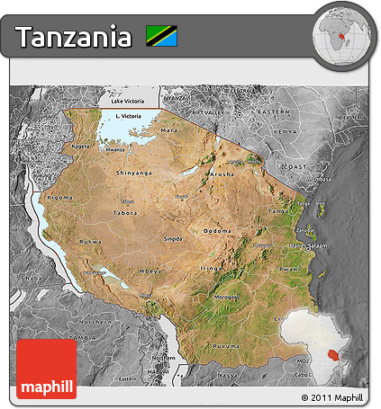 Satellite 3D Map of Tanzania, desaturated