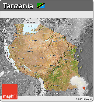 Satellite 3D Map of Tanzania, desaturated