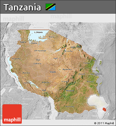 Satellite 3D Map of Tanzania, lighten, desaturated