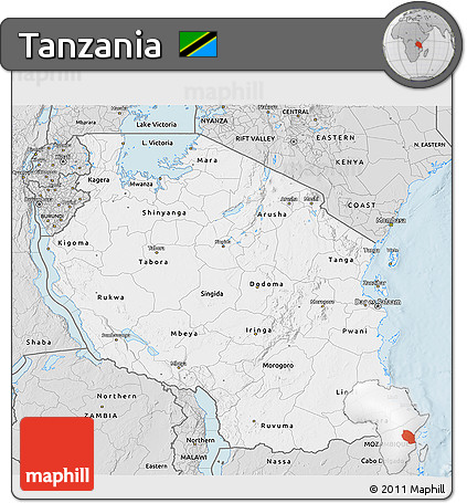 Silver Style 3D Map of Tanzania