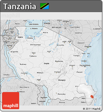 Silver Style 3D Map of Tanzania