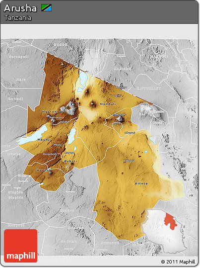 Physical 3D Map of Arusha, lighten, desaturated