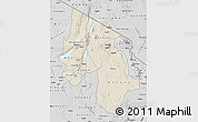 Shaded Relief Map of Arusha, desaturated