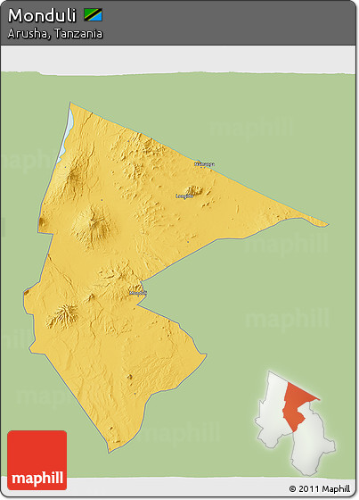Savanna Style 3D Map of Monduli, single color outside