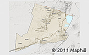 Shaded Relief Panoramic Map of Ngorongoro, lighten, semi-desaturated