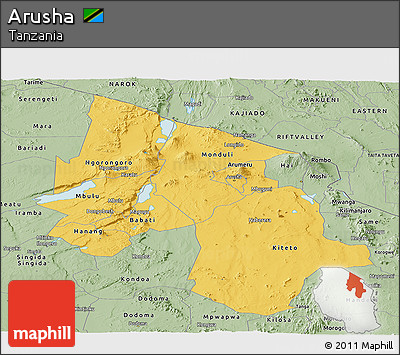 Savanna Style Panoramic Map of Arusha