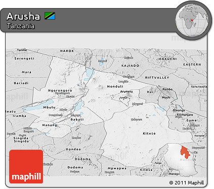 Silver Style Panoramic Map of Arusha