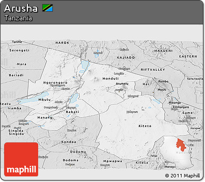 Silver Style Panoramic Map of Arusha