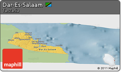 Savanna Style Panoramic Map of Dar-Es-Salaam, single color outside