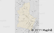 Shaded Relief 3D Map of Dodoma, desaturated