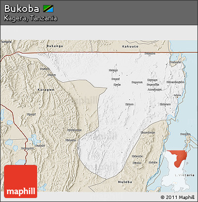 Classic Style 3D Map of Bukoba