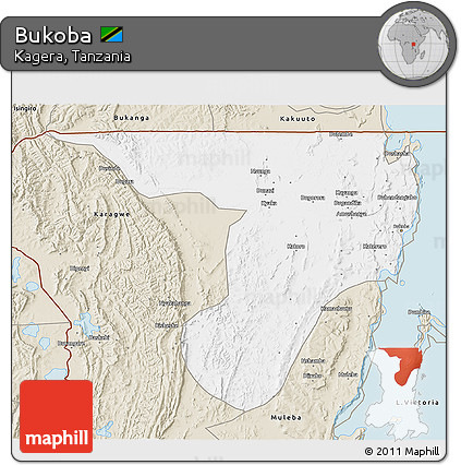 Classic Style 3D Map of Bukoba