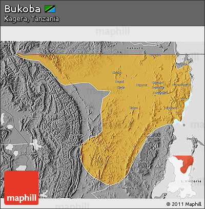 Physical 3D Map of Bukoba, desaturated