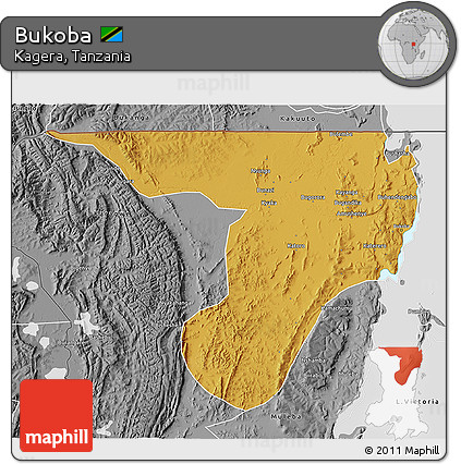 Physical 3D Map of Bukoba, desaturated