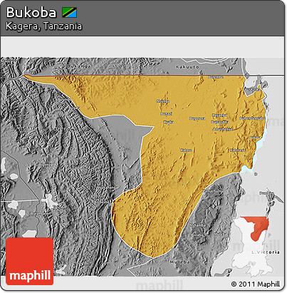 Physical 3D Map of Bukoba, desaturated