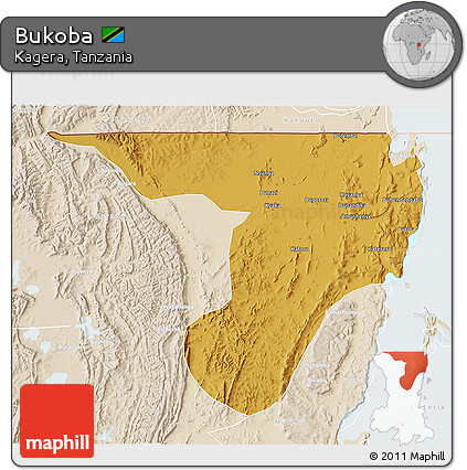 Physical 3D Map of Bukoba, lighten