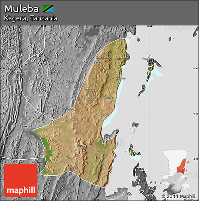 Satellite Map of Muleba, desaturated