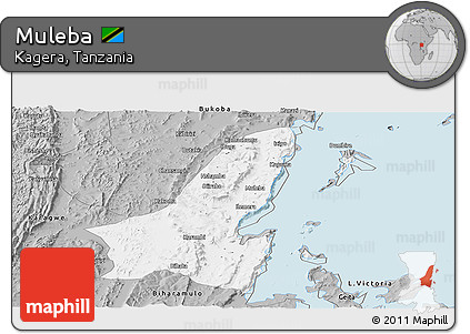 Gray Panoramic Map of Muleba