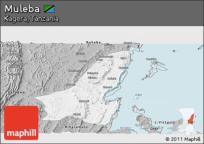 Gray Panoramic Map of Muleba