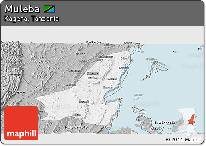 Gray Panoramic Map of Muleba