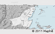 Gray Panoramic Map of Muleba