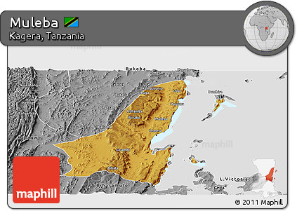 Physical Panoramic Map of Muleba, desaturated