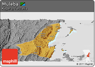 Physical Panoramic Map of Muleba, desaturated