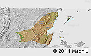 Satellite Panoramic Map of Muleba, lighten, desaturated