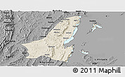 Shaded Relief Panoramic Map of Muleba, darken, desaturated