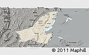 Shaded Relief Panoramic Map of Muleba, darken, semi-desaturated
