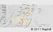 Shaded Relief Panoramic Map of Muleba, desaturated