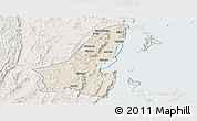 Shaded Relief Panoramic Map of Muleba, lighten