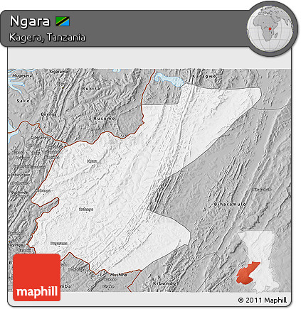 Gray 3D Map of Ngara