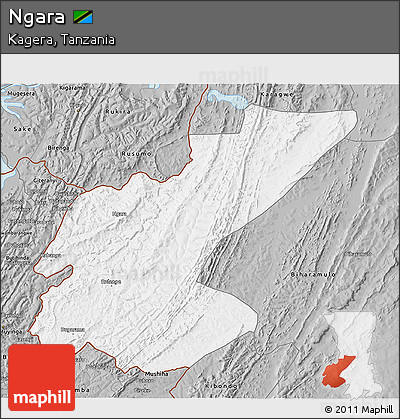 Gray 3D Map of Ngara