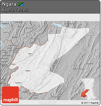 Gray 3D Map of Ngara