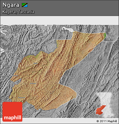 Satellite 3D Map of Ngara, desaturated