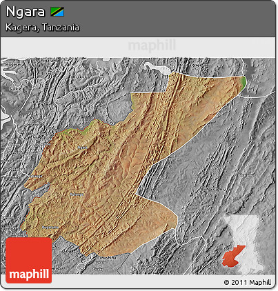 Satellite 3D Map of Ngara, desaturated