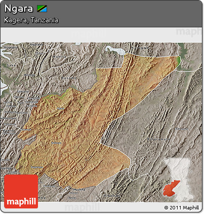 Satellite 3D Map of Ngara, semi-desaturated