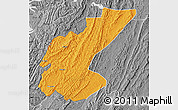 Political Map of Ngara, desaturated